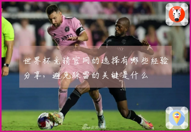 世界杯竞猜官网的选择有哪些经验分享，避免踩雷的关键是什么