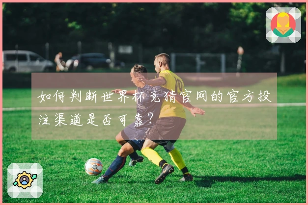 如何判断世界杯竞猜官网的官方投注渠道是否可靠？