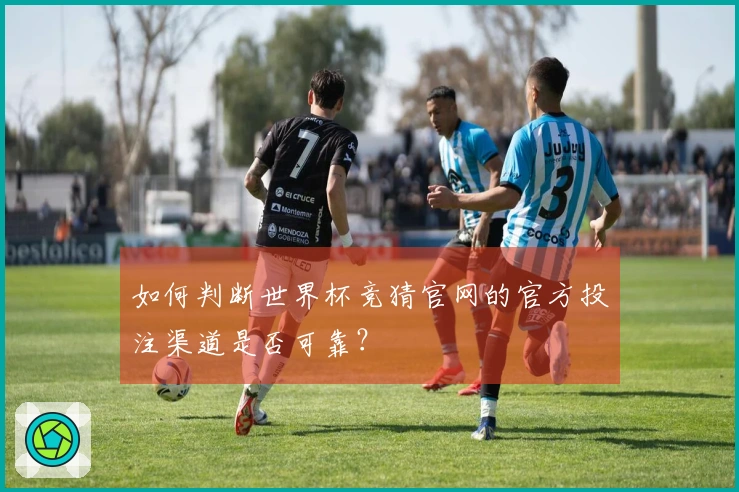 如何判断世界杯竞猜官网的官方投注渠道是否可靠？