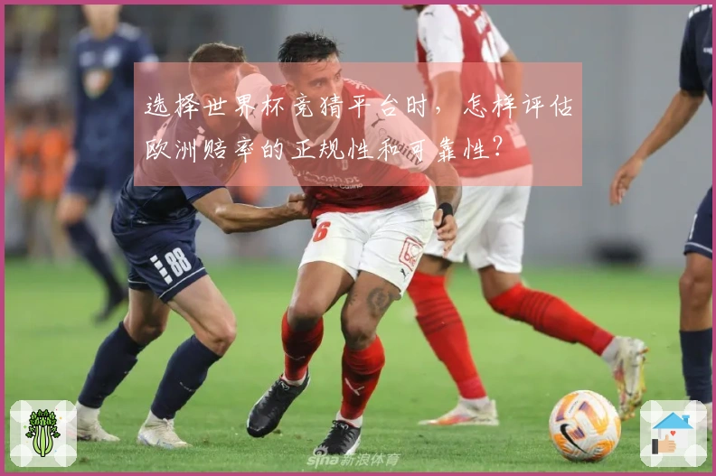 选择世界杯竞猜平台时,怎样评估欧洲赔率的正规性和可靠性?